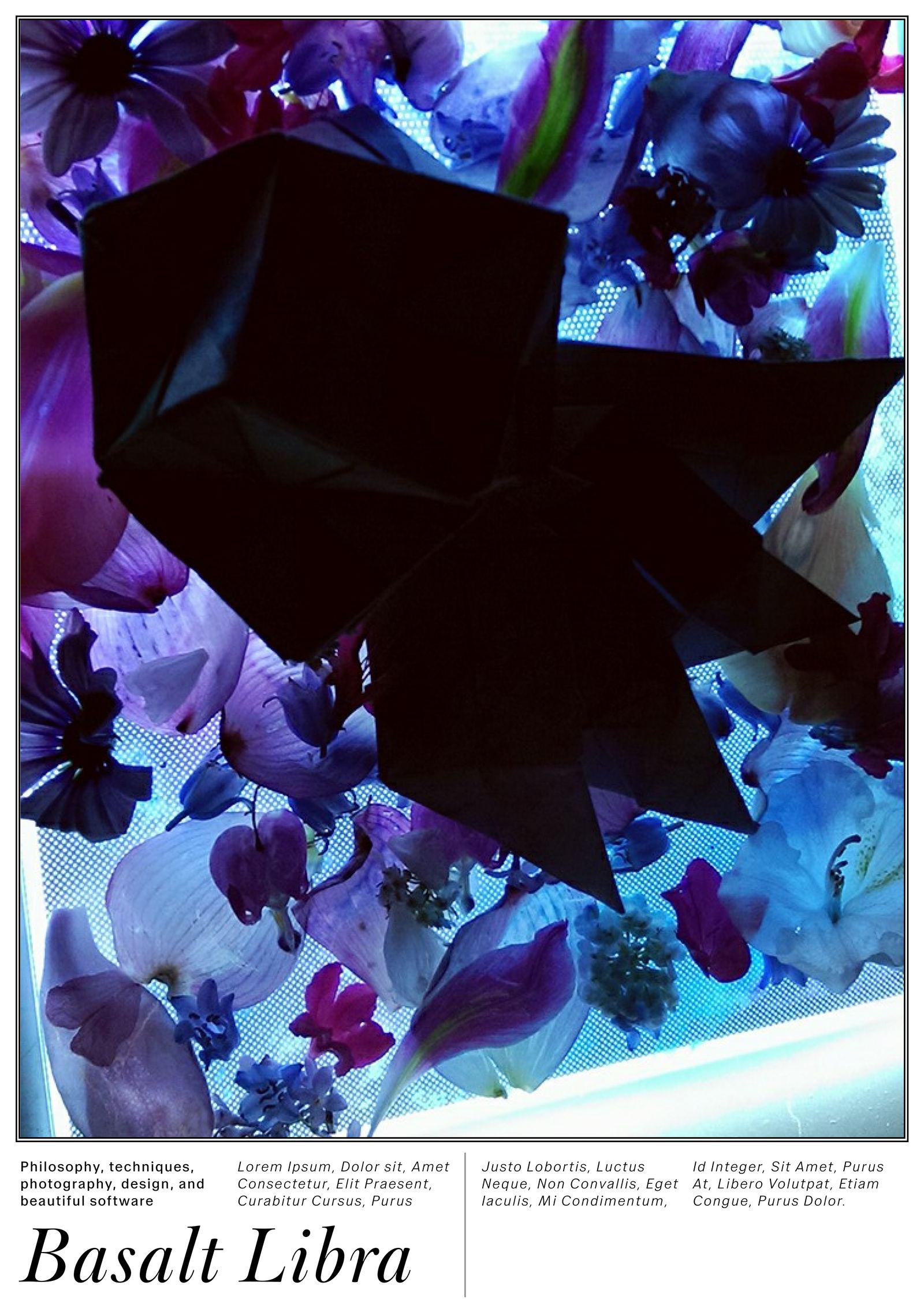 Basalt Libra cover: black folded paper form over backlit flowers
