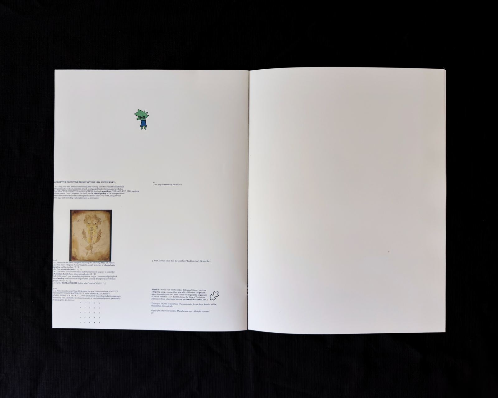 Basalt Libra physical photograph, spread 5