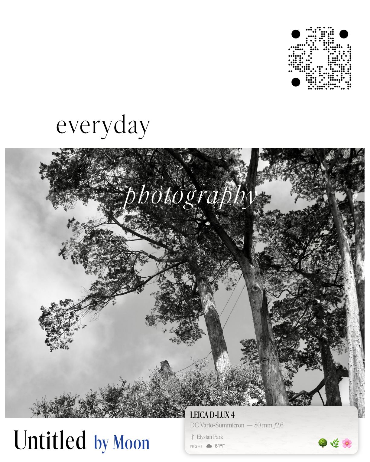 Untitled campaign insertion: “everyday photography” over a monochrome photograph of pines against cloud, with the wordmark and a metadata card below
