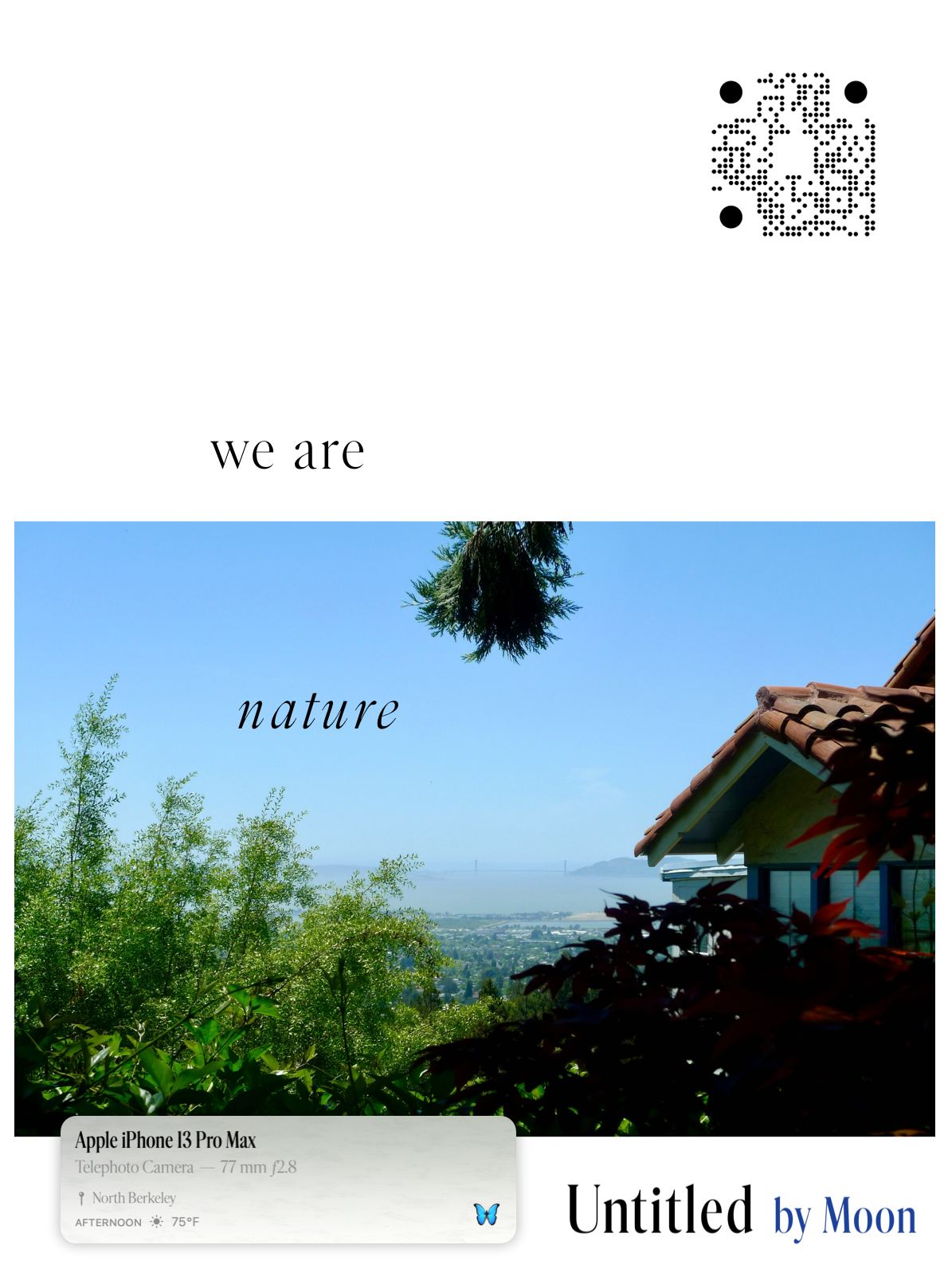 Untitled campaign insertion: “we are nature” over a photograph of a wooded hillside above a bay